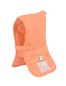 {hFi hГ DK^CvIW wZwNȉ 38×27cm 90010