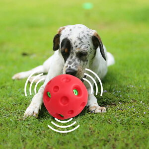 pet prime   {[ ^p ۂۂ퉹o dďvȉ̏o邨 傫ȉDȃ ȒP ^ a14cm