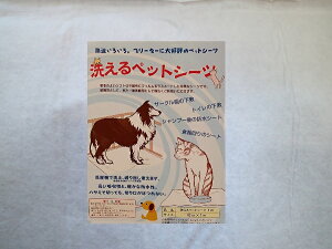 􂦂ybgV[c@i1mjy@[֎w著@zi1m×92cmjGXACGX@sDz