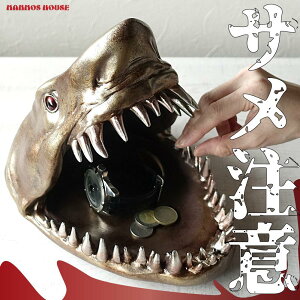 rbOTCY T L gC 傫  CeA g[ u Awbh d 傫 V[Nwbh  rO  S[h ʔ G Mtg 蕨 v[g A