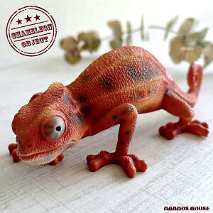 JI u  IuWF G  낢 u I[ig  K[fjO  rO  A CeA ঒ pT[JI  bh