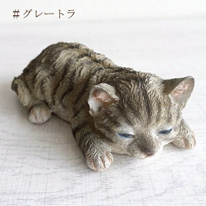 lR L 킢 u  IuWF u Aj} qL Lbg I[ig   rO   A CeA G  Q