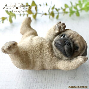 ÂV pO 킢 u   IuWF u Aj} I[ig  rO   A CeA G  Q V K[fjO