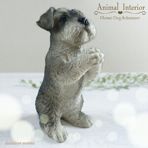 ˂ ~j`AViEU[ u IuWF 킢 肢  IuWF u Aj} I[ig y yu yX^h rO   K[fjO  C