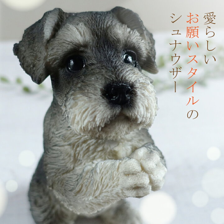 楽天市場】おねだり ミニチュアシュナウザー 置物 オブジェ かわいい 