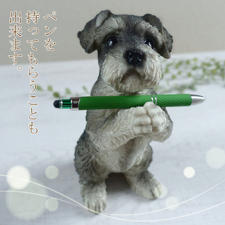 楽天市場】おねだり ミニチュアシュナウザー 置物 オブジェ かわいい 