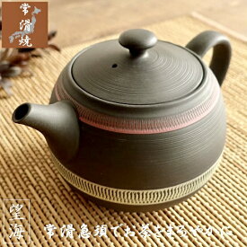 急須 おしゃれ 常滑焼 お茶が美味しくなる ティーポット 日本製 きゅうす ライン かわいい 茶こし付き カフェポット 茶器 とこなめ 左利き 陶器 ギフト プレゼント 望海