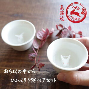 Z 傱 yAZbg { Ђ肤  ETM e u y   ۂ  킢  { Mtg 蕨 v[g   zCg