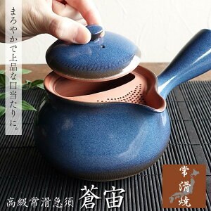 急須 おしゃれ 常滑焼 お茶が美味しくなる ティーポット 日本製 108穴 百八急須 きゅうす 大きい 大きめ 500ml カフェポット 丸い 茶こし付き 贈り物 プレゼント ギフト 茶器 とこなめ 青色 ブ