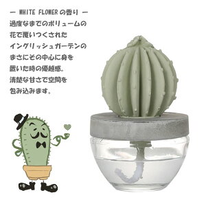 T{e^ A}fBt[U[ lC  JN^X [tOX ̖F CeA O[ A 蕨 v[g Mtg 