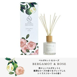 A}fBt[U[ VR100%  [tOX HP [hfBt[U[ F t[fBt[U[ lC XeBbN  CeA Mtg 蕨 v[g