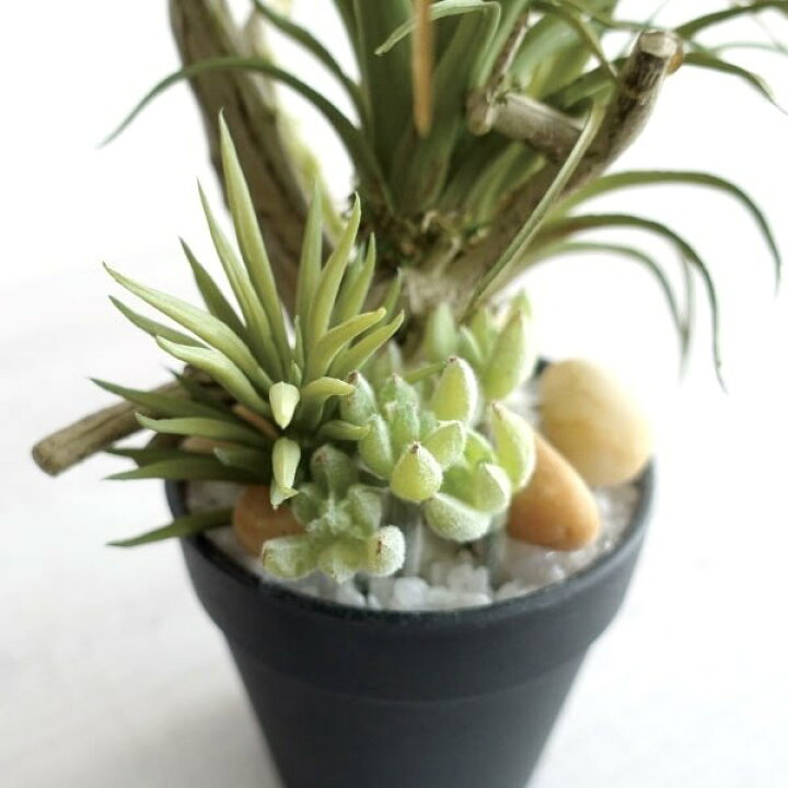 楽天市場】観葉植物 フェイクグリーン 造花 アレンジメント おしゃれ 