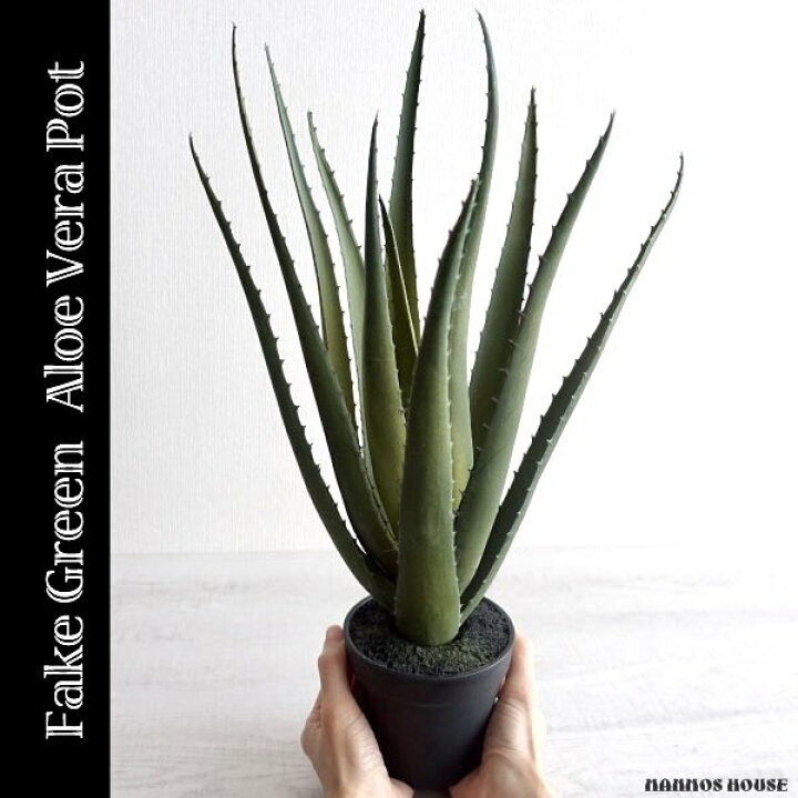 楽天市場】アロエベラ 人工観葉植物 フェイクグリーン 造花 リアル 
