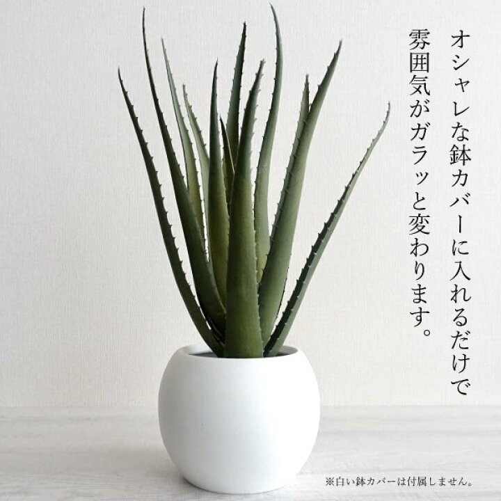 楽天市場】アロエベラ 人工観葉植物 フェイクグリーン 造花 リアル 