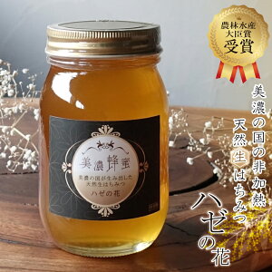 _ѐYb܎ ݂͂ ZI 600g M Y  I n[̉  100%  { Ղ 傫TCY R{I VR yf   lC v[g Mtg 蕨