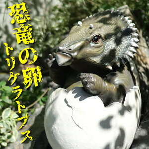 ̗ IuWF gPgvX 傫 rbOTCY u   tBMA ܂ Ԃ xr[ 킢 CeA  K[f   K[fjO I[ig