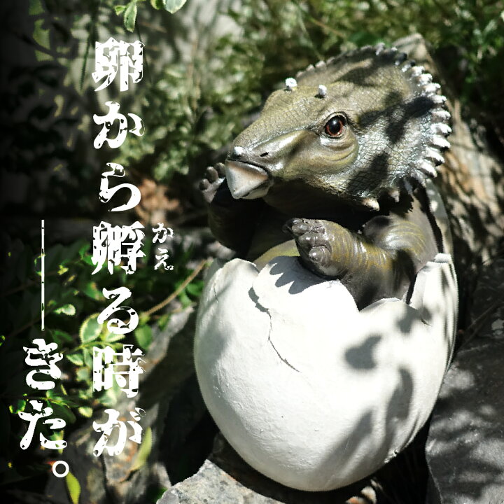 楽天市場】恐竜の卵 オブジェ トリケラトプス 大きい ビッグサイズ 