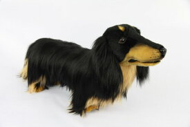 BH8511 HANSA ミニチュアダックスロングBK