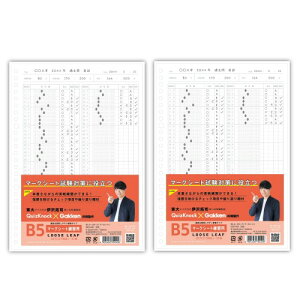 wXeCt STUDY STATIONERY B5 [Y[t }[NV[g K 2pbN Z06806