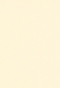 GXPg Fp A5 V` 100 211150
