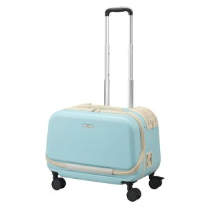 �W�F�b�N�X GEX OSOTO �R���t�B�[ M �A�N�A �y�� ��яo���h�~ �V�[�g�x���g�Œ� �X�[�c�P�[�X �L�����[�^�C�v �y�b�g�p