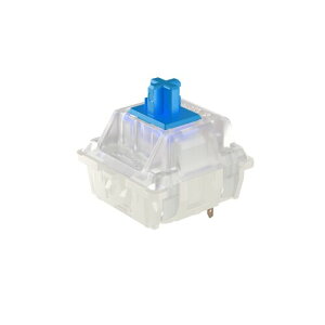 �`�F���[(Cherry) MX BLUE Switches RGB 10��