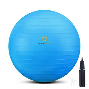 �v���}�\�[��(primasole) �t�B�b�g�l�X�{�[�� 65cm �u���[ ��C����t�� �o�����X�{�[�� �t�B�b�g�l�X PSS91NH062