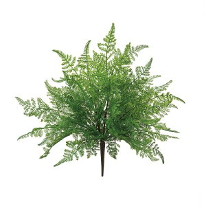 ������(Tokyodo) �G�N�X�e���A�\�t�e�B�V�_�[�u�b�V�� �tL20×L50×W45cm 1�� FG000128-zzz