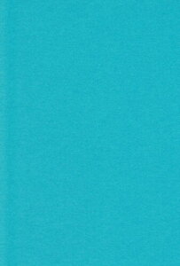 GXPg Fp A4 ݂ǂ 100 232606