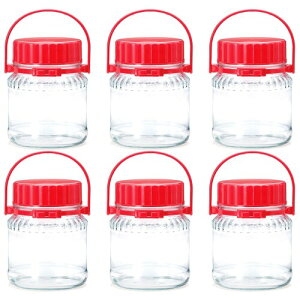 mX؃KX ʎr Ђ 傤 { NA 2000ml I-77823-R-C-JAN 6