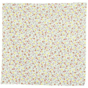 ނ ӂ낵 100 ANAhbv TCN ~ju[P O[ 100cm |GXe H