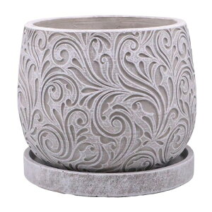 �f���L (dellki) �� �G�� �|�b�g A ���C�g�O���[ L�T�C�Y KM08LG