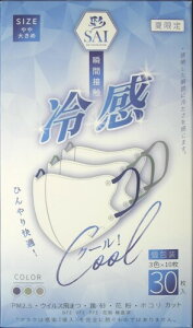 () ʗ̗⊴}XN傫߃TCY 30