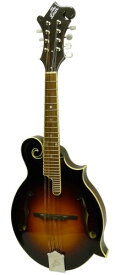 Loar Fモデルマンドリン ビンテージサンバースト LM-520-VS