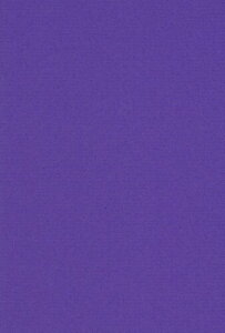 GXPg Fp ~[YRbg  A4 ӂނ炳 10 41110009