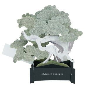 O[eBOCt BONSAI ~ |bvAbv J[h ^ KE-66 ړI