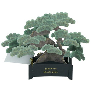 O[eBOCt BONSAI ~ |bvAbv J[h  KE-65 ړI