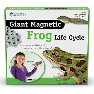 ���[�j���O ���\�[�V�[�Y Giant Magnetic Frog Life Cycle �}�O�l�b�g�� �J�G���̃��C�t�T�C�N�� LER 6041