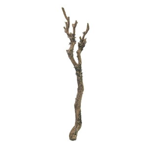������(Tokyodo) Deco Green �f�B�X�v���C�u�����`L BROWN FG002674-zzz