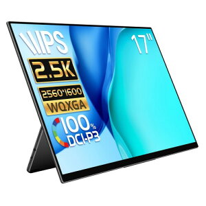 ���o�C�����j�^�[ EHOMEWEI 2.5K 17�C���` WQXGA 2560x1600 100% DCI-P3 ���^ 5mm �Q�[�~���O ���j�^�[ �X�s�[�J�[���� �u���[���C�g�J�b�g �P�[�X�t �^�b�`�p�l����Ή� RQ-170NW
