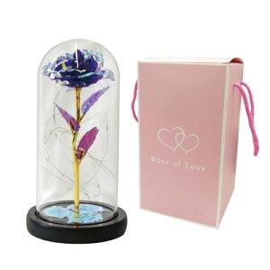 |s[É t[Cg  ԑ Mtg v[g 1 o ԑ 21cm KXh[ Vbp[t LED Gold Rose p[v