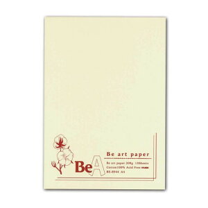 ~[Y ʎ BeA[gy[p[pbh A4 209g i`zCg 15 BE-8944 A4