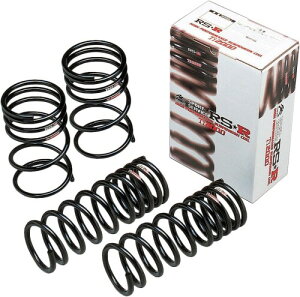 RS-R (�A�[���G�X�A�[��) RSR Ti2000�X�g���[�g 6610T4.5