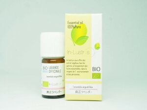 �C�����X�g���[�Y �G�b�Z���V�����I�C�� ���x���_�[(�^��) 5ml(�w��Lavandula angustifolia)