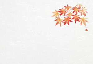 򎽊 ae[u}bg 3_a~}bg Ԗ؃V[Y gt2 _ 100 B-26-53