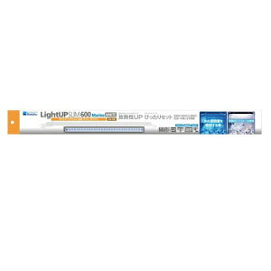  CgAbv SLIM } 600 zCg 60-70cmp