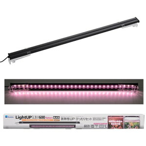 CgAbv SLIM i` 600 ubN 60-70cmp