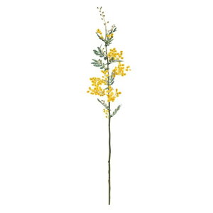 ������(Tokyodo) ���� MAGIQ �v�����~���U M �C�G���[ L70cm FM007085-zzz