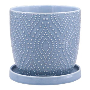 �f���L (dellki) �h�[�Z�|�b�g B Doce �u���[ L�T�C�Y [�t�@�C]155×H145mm FD08BL