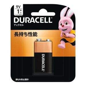 9V�`�A���J�����d�r 1�{���� �ۑ�����5�N �A���v �`���[�i�[ �o���h ���F